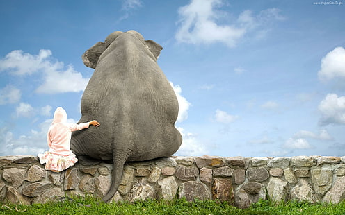 Elephant Friend, funny, elephant, friend, HD wallpaper HD wallpaper