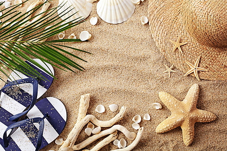 sand, beach, summer, hat, glasses, shell, vacation, starfish, accessories, seashells, HD wallpaper HD wallpaper