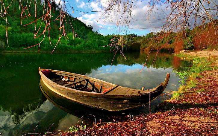 Barco a descansar, floresta, lago, barco, outono, barcos, HD papel de parede