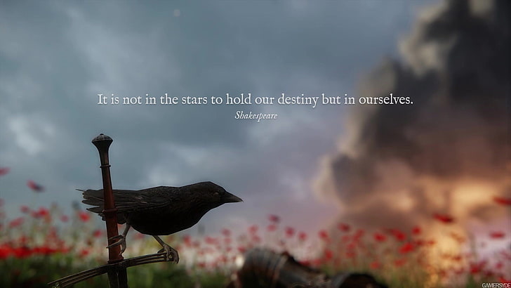 silhouette of bird with text overlay, video games, Kingdom Come: Deliverance, Warhorse Studios, HD wallpaper