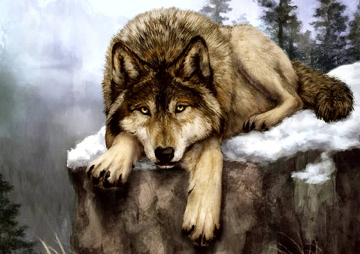 malarstwo brązowego wilka, wilk, Tapety HD