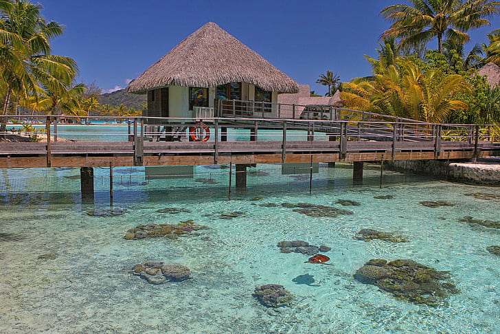 Turtle Enclosure Bora Bora, pacific, lagoon, coral, reef, beach, south, tahiti, turtles, polynesia, sand, bora-bora, blue, ocea, island, HD wallpaper