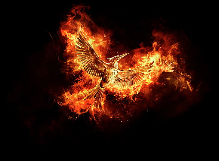 The Hunger Games, Mockingjay, 4K, 8K, Wallpaper HD