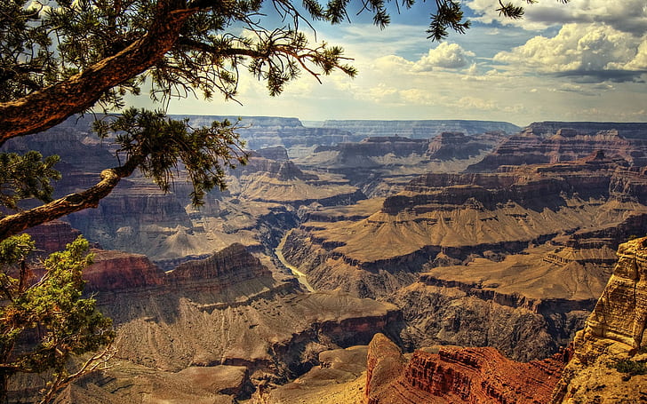Lanskap Grand Canyon Canyon Desert Tree HD, formasi batuan coklat dan hitam, alam, lanskap, pohon, gurun, grand, ngarai, Wallpaper HD