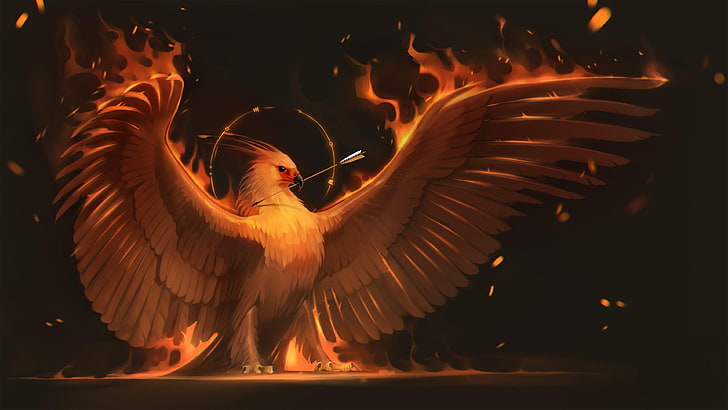 тьма, пламя, феникс, греческая мифология, перо, крыло, огонь, ночь, мистик, мифическая птица, мифология, мифическая, птица, HD обои