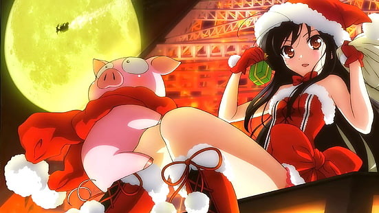 anime, chicas anime, Accel World, Kuroyukihime, Navidad, cerdos, Luna, Fondo de pantalla HD HD wallpaper
