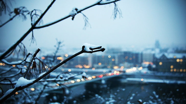 snow-covered bare tree, snow on tree branch, bokeh, snow, winter, cityscape, HD wallpaper
