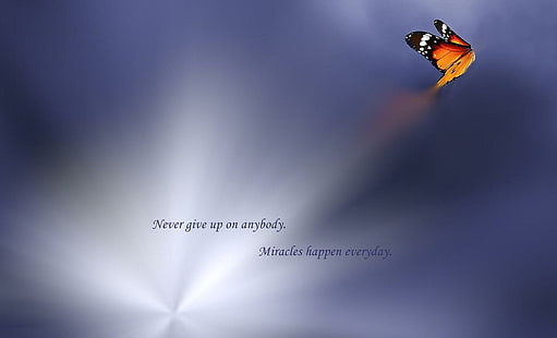 Never give up, words, abstract, purple, word, butterfly, HD wallpaper HD wallpaper