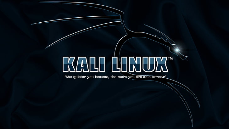 칼리 리눅스, HD 배경 화면