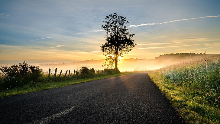 road, sky, lone tree, tree, horizon, dawn, morning, lonely tree, infrastructure, sunrise, sunlight, lonesome, HD wallpaper