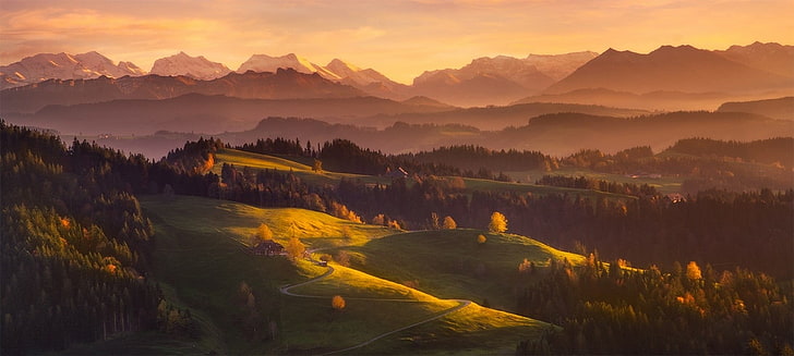 зеленые лиственные деревья, утро, горы, лес, Швейцария, туман, деревни, снежная вершина, трава, панорамы, пейзаж, природа, HD обои