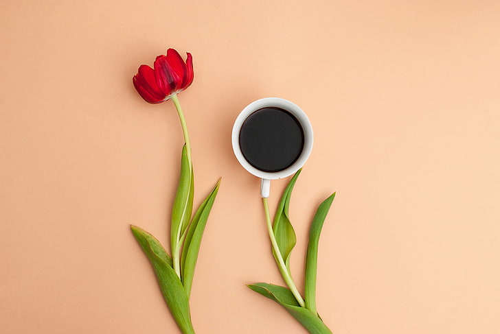 red rose with green leaf, flower, leaves, Tulip, coffee, petals, Cup, still life, HD wallpaper