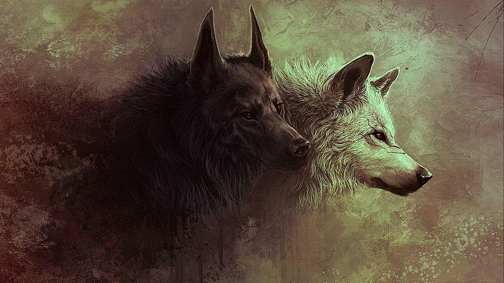 lobo, lobos, arte, ilustraciones, Fondo de pantalla HD