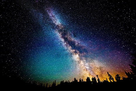floresta e céu durante a ilustração da noite, silhueta de árvores sob o céu escuro, noite estrelada, noite, estrelas, paisagem, Via Láctea, floresta, longa exposição, HD papel de parede HD wallpaper