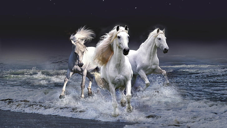2014 Китайский Новый Год Лошади Обои 11, три белые лошади, HD обои
