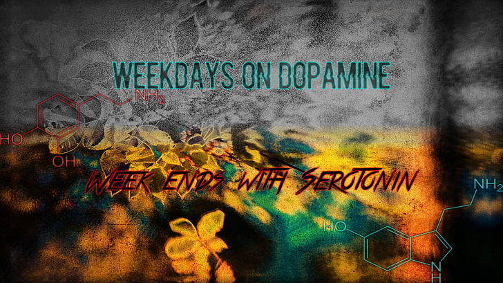 weekdays on dopamine digital wallpaper, drugs, work, anatomy, LSD, ecstasy, euphoria, HD wallpaper