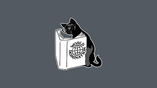 illustrazione di gatto e libro, gatto, libri, Sfondo HD HD wallpaper