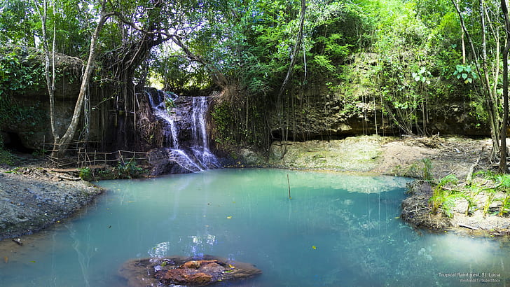 Tropical Rainforest, St. Lucia, Waterfalls, HD wallpaper