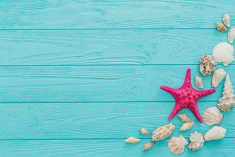 red starfish and brown seashells, shell, blue background, star, HD wallpaper HD wallpaper