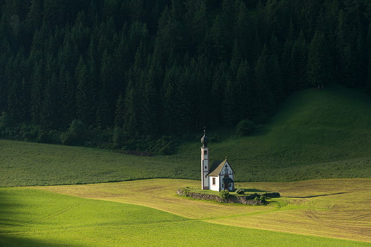 gereja, sendirian, pohon, hutan, lapangan, Wallpaper HD