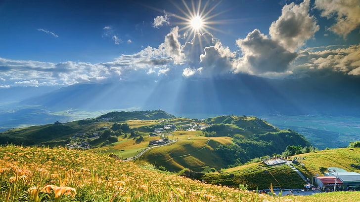 hillside, flower field, hill, sunray, rays, sun, landscape, cloud, stunning, scene, HD wallpaper