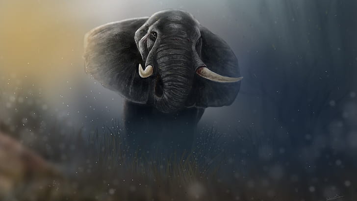 รูป, ช้าง, ศิลปะ, สัตว์, ยักษ์, งา, Jaleel Muhammed, โดย Jaleel Muhammed, Tusker ที่รกร้าง, วอลล์เปเปอร์ HD