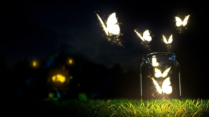 butterfly, butterflies, light, night, jar, HD wallpaper