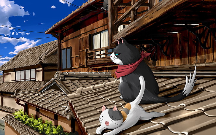 kedi, Nyan Koi, nyamsas, anime, HD masaüstü duvar kağıdı