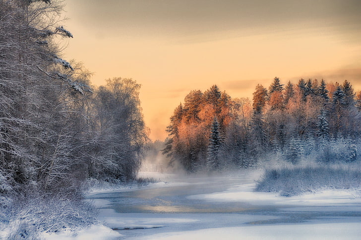 зима, Финляндия, деревья, пейзаж, природа, снег, лед, HD обои
