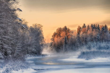 зима, Финляндия, деревья, пейзаж, природа, снег, лед, HD обои HD wallpaper