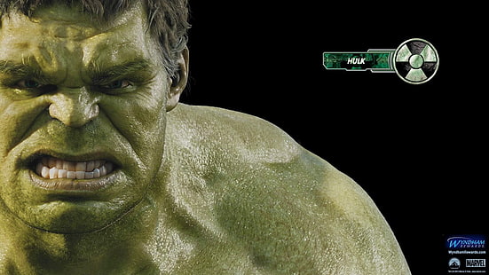 Marvel Incredible Hulk илюстрация, Hulk, Marvel Comics, The Avengers, HD тапет HD wallpaper
