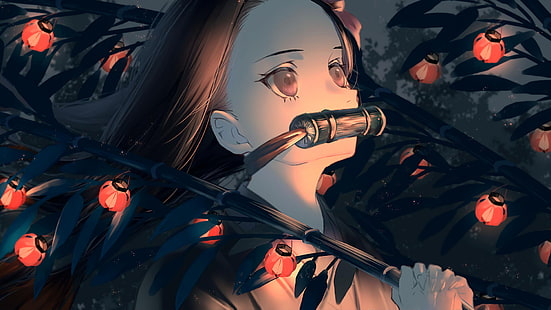 Anime, Dämonentöter: Kimetsu no Yaiba, Bambus, Schwarzes Haar, Langes Haar, Nezuko Kamado, Nacht, Rote Augen, HD-Hintergrundbild HD wallpaper