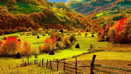 природа, пейзаж, ноември, небе, дърво, лято, есен, сезон, трева, дървета, гора, селски, облаци, ливада, парк, растение, пейзаж, пролет, поле, държава, жълт, естествен, есен, слънчево, на открито, на открито, провинция, пътуване, живописен, листа, цветя, сцена, хоризонт, листа, вода, селско стопанство, облак, цвете, околна среда, земя, HD тапет HD wallpaper