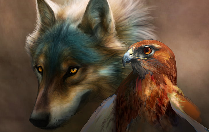 волк и ястреб цифровые обои, птица, орел, волк, живопись, арт, новауфф, HD обои