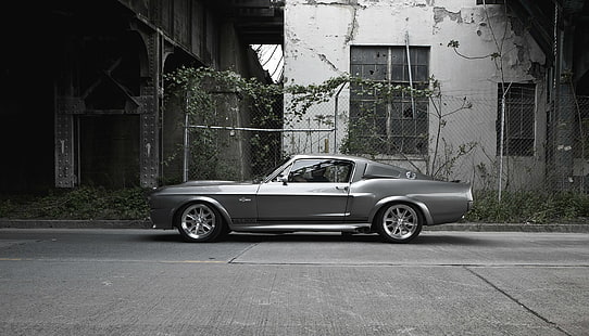 gray coupe, GT500, Ford Mustang, Shelby Eleanor, HD wallpaper HD wallpaper