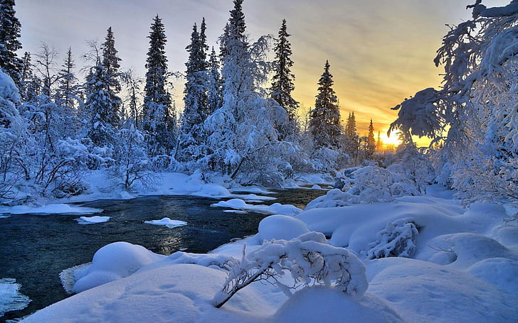 خلفيات الشتاء نهر طبيعة الأشجار المشهد عالية الدقة، خلفية HD