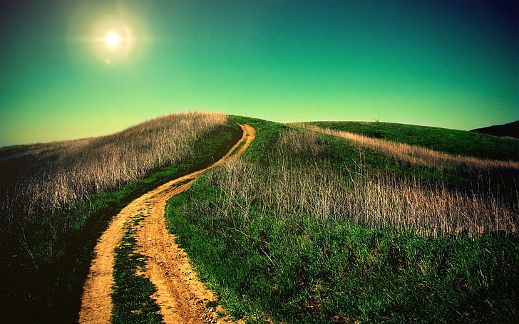 Alfombra verde y marrón, paisaje, campo, camino, camino de tierra, naturaleza, Fondo de pantalla HD