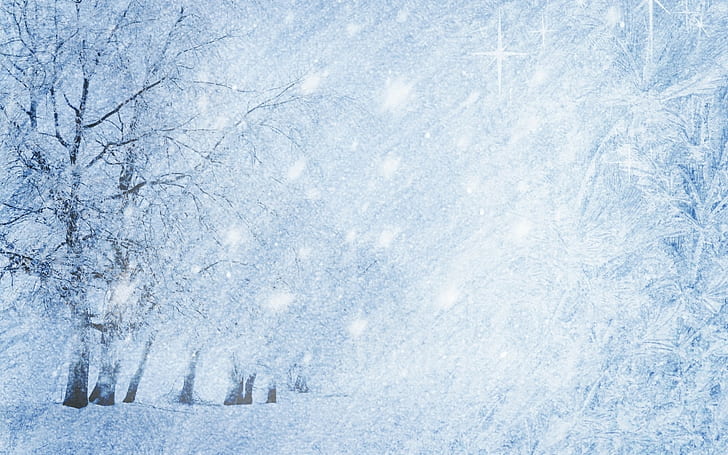 Natur, Landschaft, Schnee, blattloser Baum, Schnee, Winter, Landschaft, Natur, HD-Hintergrundbild