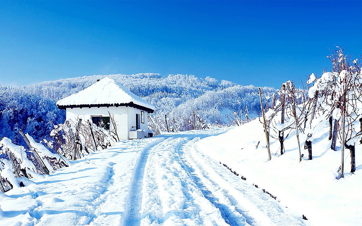 white concrete house, winter, house, road, snow, white, purity, HD wallpaper