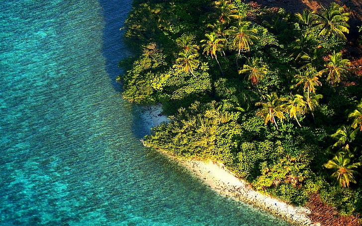 природа, пейзаж, вид с воздуха, остров, пляж, тропический, Мальдивы, море, пальмы, листва, вода, утро, HD обои