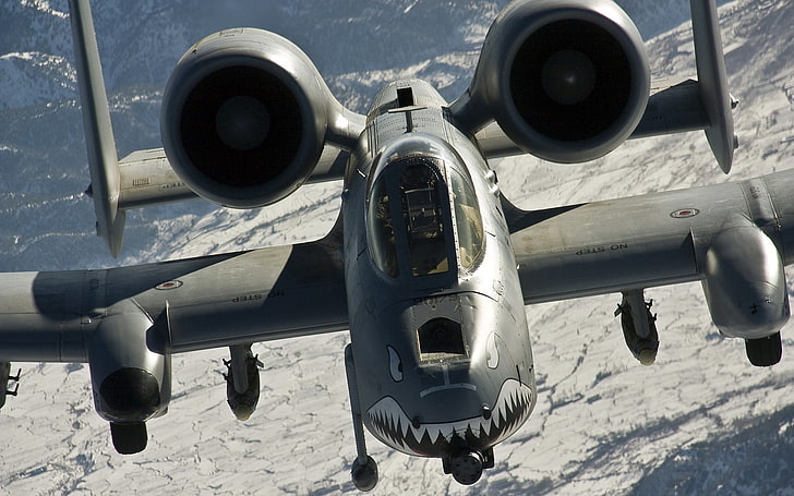 gulungan memancing abu-abu dan hitam, militer, pesawat terbang, pesawat militer, Fairchild A-10 Thunderbolt II, Wallpaper HD