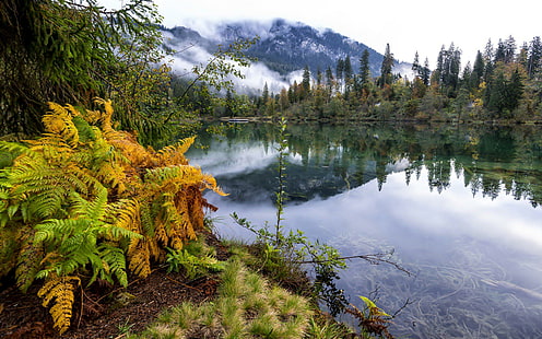 자연 산 숲 풍경 안개 호수 Ultrahd 4k HD 와이드 스크린, 호수, 숲, 호수, 풍경, 산, 자연, ultrahd, 와이드 스크린, HD 배경 화면 HD wallpaper