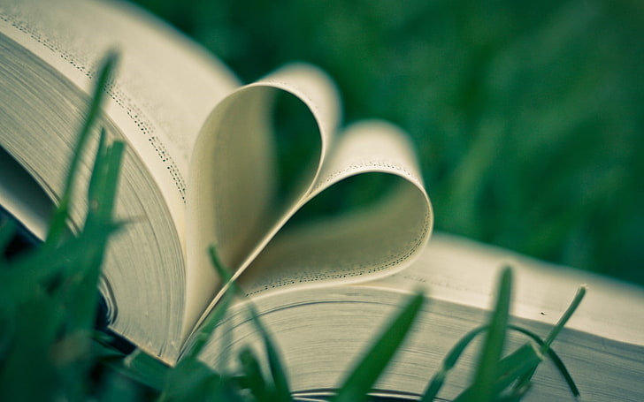 Mood Book Heart Grass, książka z rysunkami na otwartej stronie serca, Miłość,, trawa, serce, książka, Tapety HD