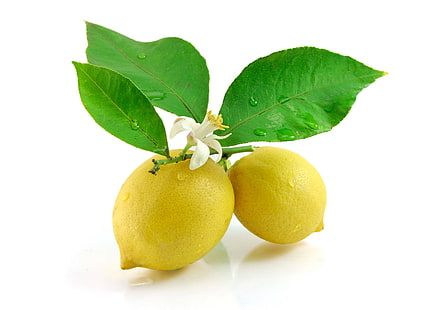 two yellow lemon fruits, lemon, leaf, flowers, white background, HD wallpaper HD wallpaper