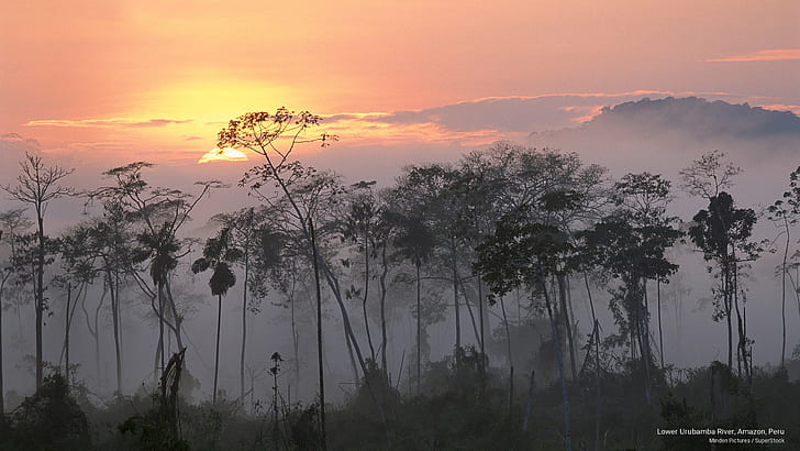 Rivière Urubamba inférieure, Amazonie, Pérou, Amérique du Sud, Fond d'écran HD