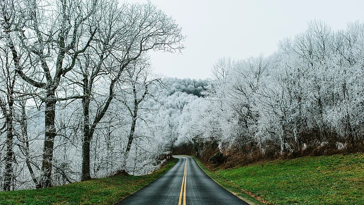 nature, landscape, road, grass, trees, forest, Blue Ridge Parkway, Virginia, USA, HD wallpaper