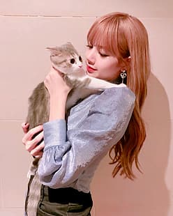Лиза (BLACKPINK), момиче котка, Лиза, азиатка, HD тапет HD wallpaper