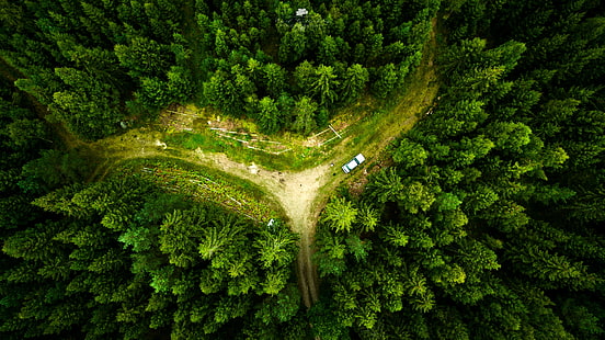 green pine trees, drone, landscape, nature, aerial view, forest, HD wallpaper HD wallpaper