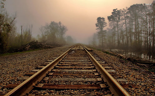 train brun chemin de fer, chemin de fer, feuilles, brouillard, arbres, paysage, Fond d'écran HD HD wallpaper