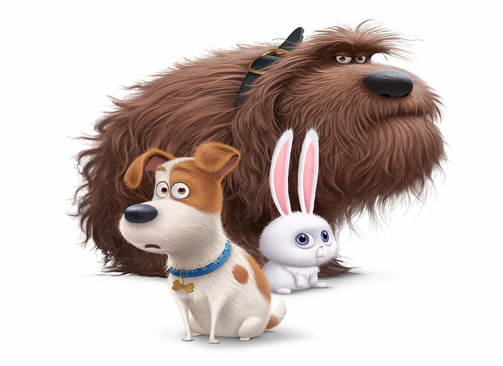 dibujos animados, mejores películas de animación de 2016, La vida secreta de las mascotas, Fondo de pantalla HD